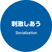 刺激し合う Socialization