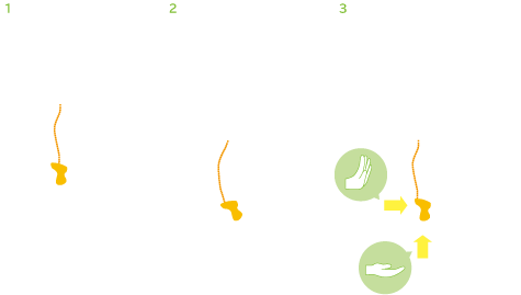 腰椎を支えるのではなく、骨盤を優しくホールドするという新発想